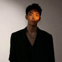 赵晨