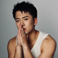 刘子木
