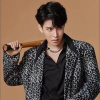 李子锋