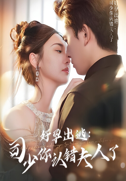 好孕出逃:司少你认错夫人了