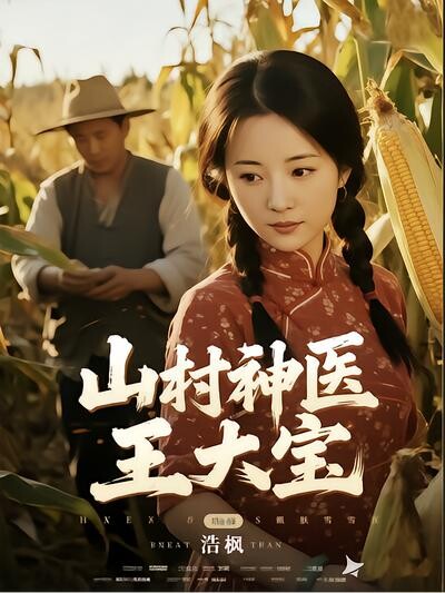 山村神医王大宝