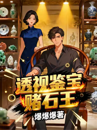 透视鉴宝赌石王