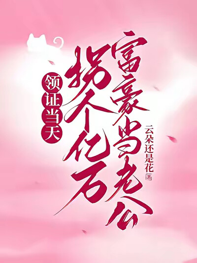 领证当天拐个亿万富豪当老公