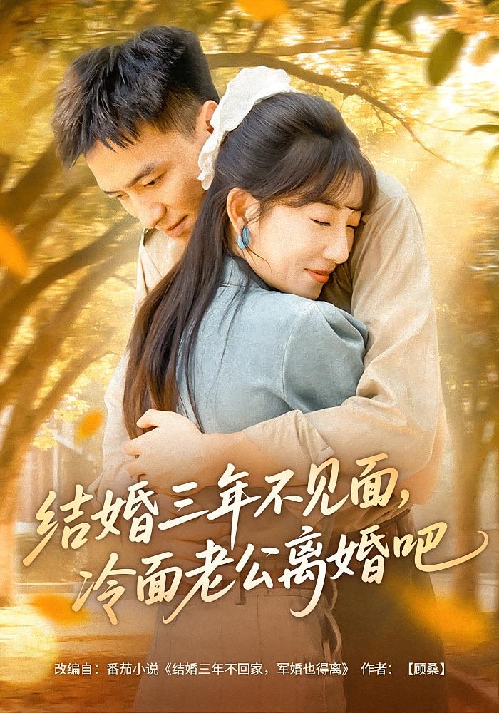 结婚三年不见面,冷面老公离婚吧