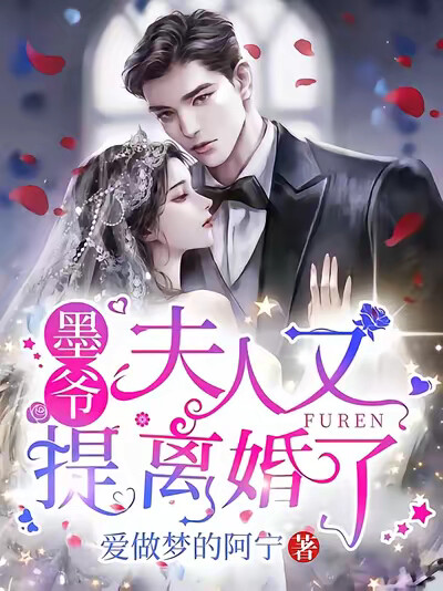 墨爷,夫人又提离婚了