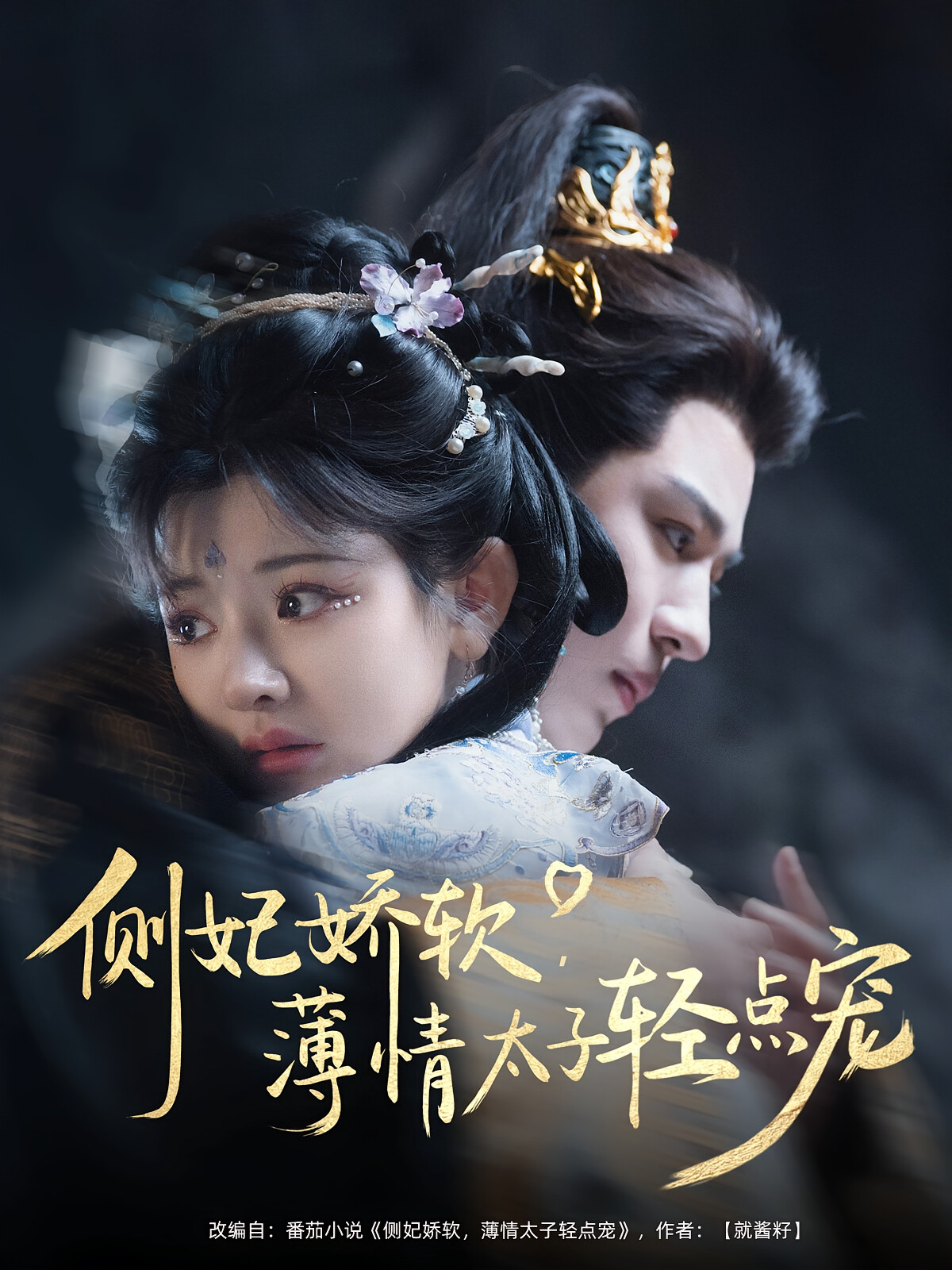 侧妃娇软,薄情太子轻点宠