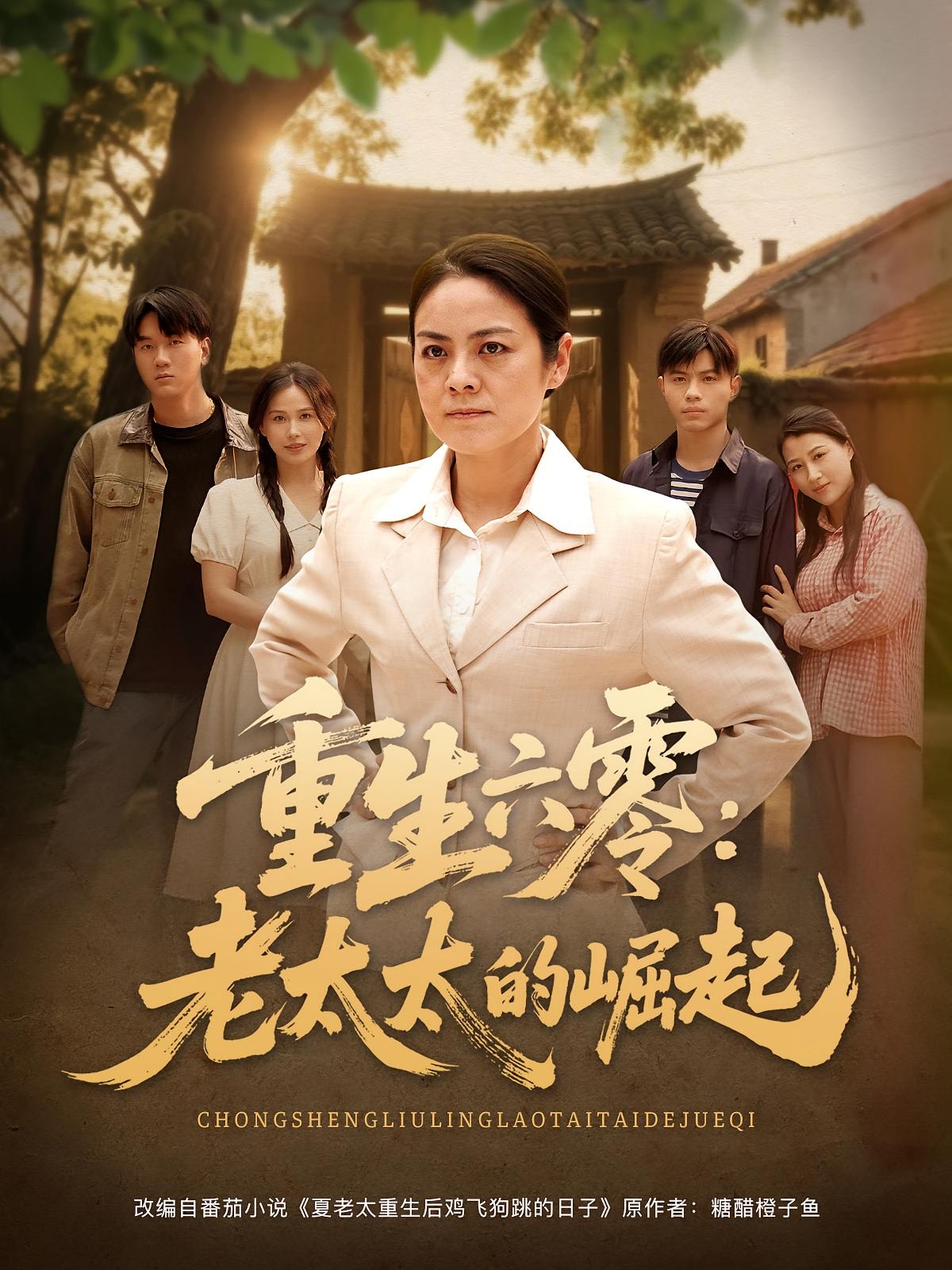 重生六零:老太太的崛起