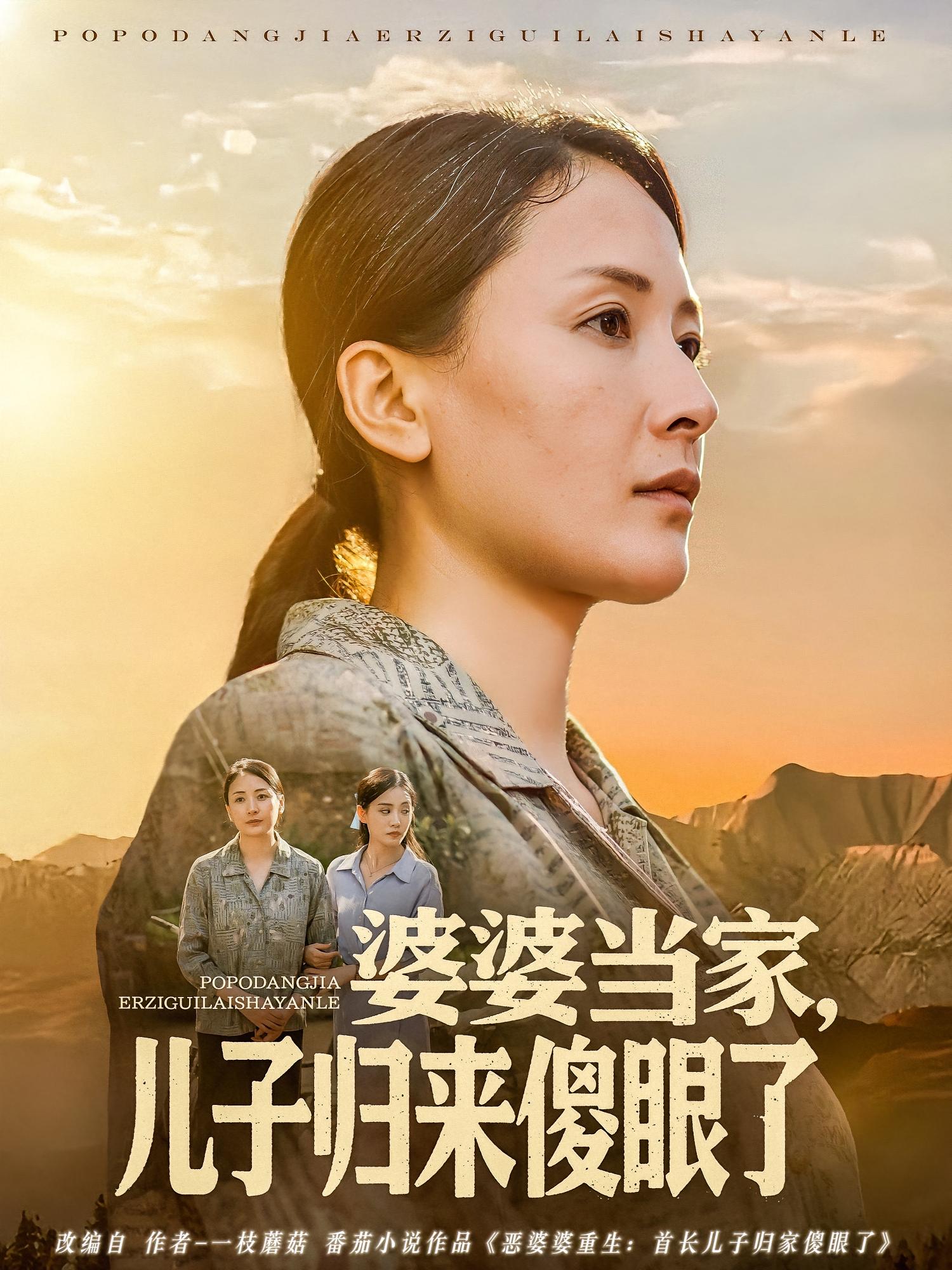 婆婆当家，儿子归来傻眼了
