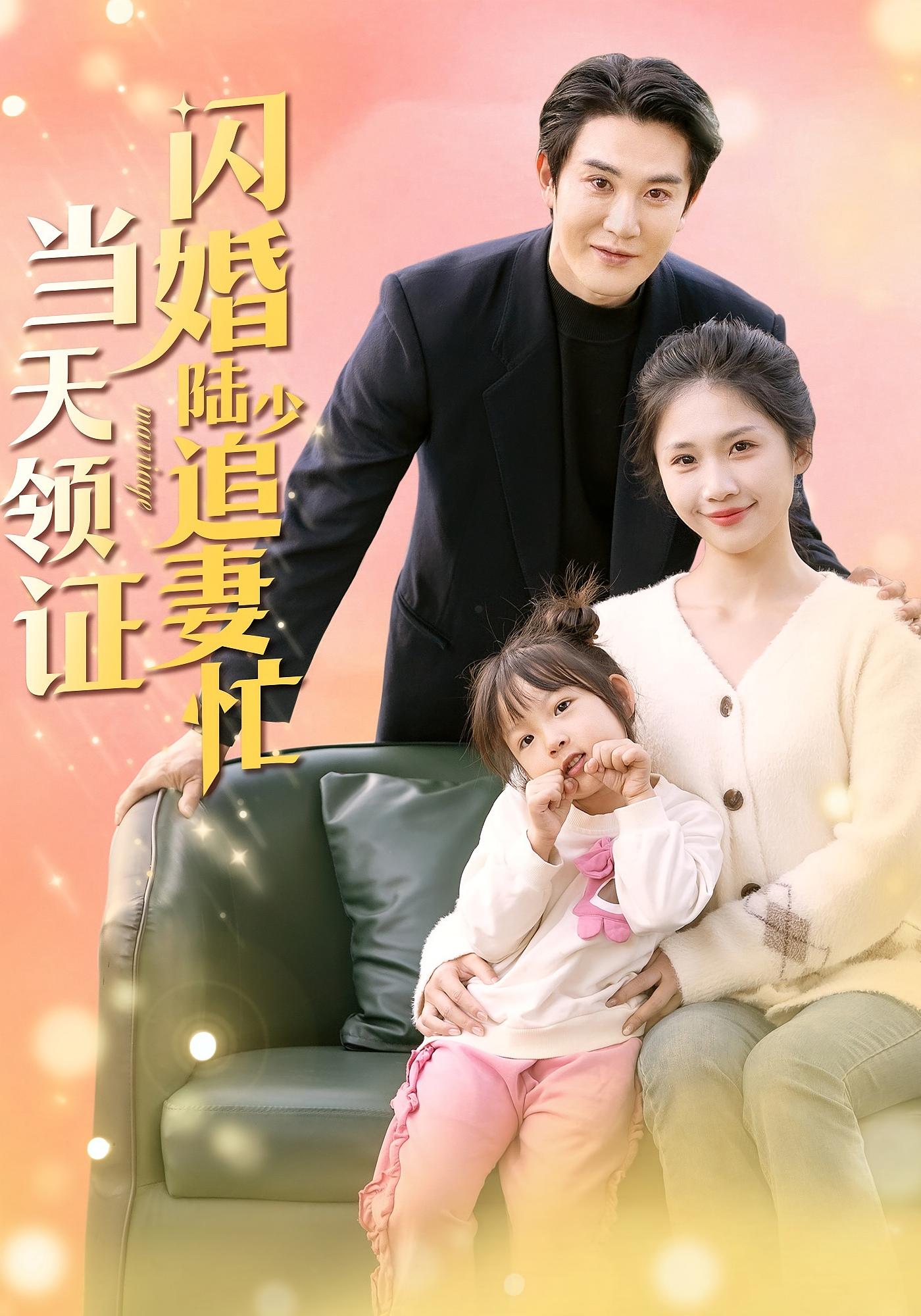 当天领证,闪婚陆少追妻忙