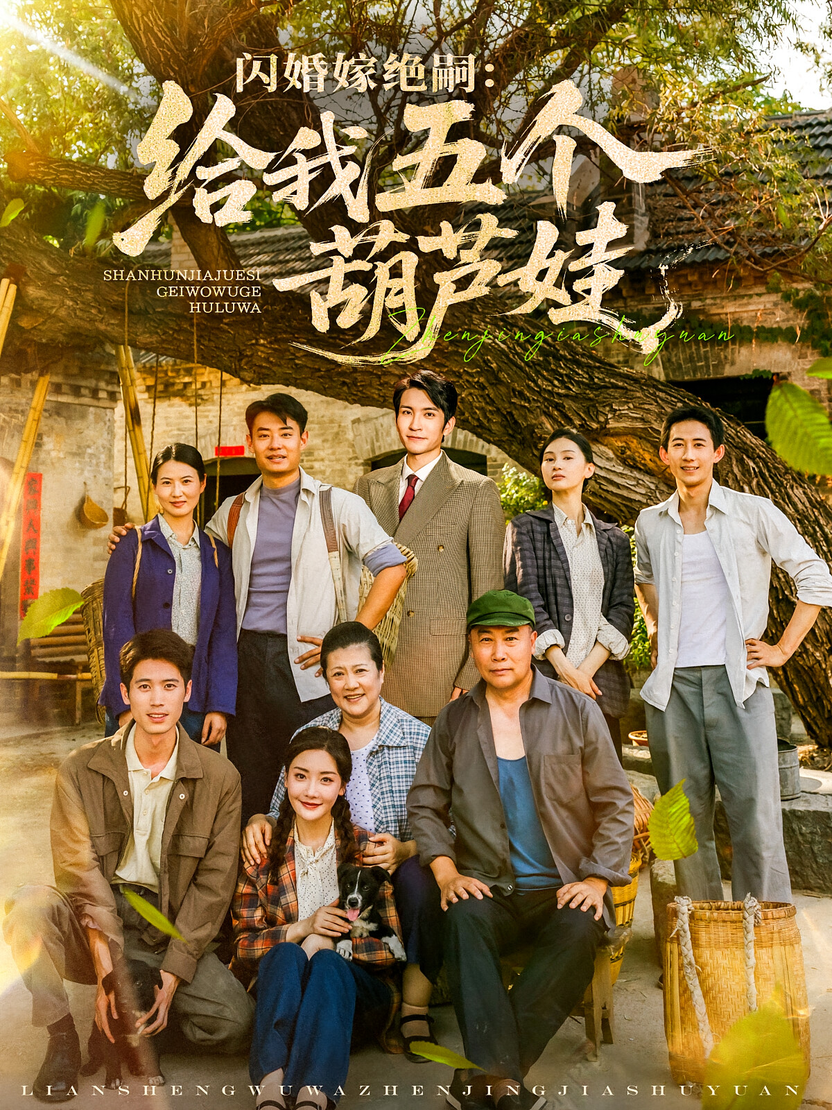 闪婚嫁绝嗣:给我五个葫芦娃
