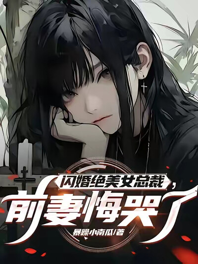 闪婚绝美女总裁,前妻悔哭了