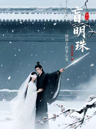 盲眼明珠:镇南王的掌心宠