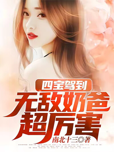 四宝驾到:无敌奶爸超厉害