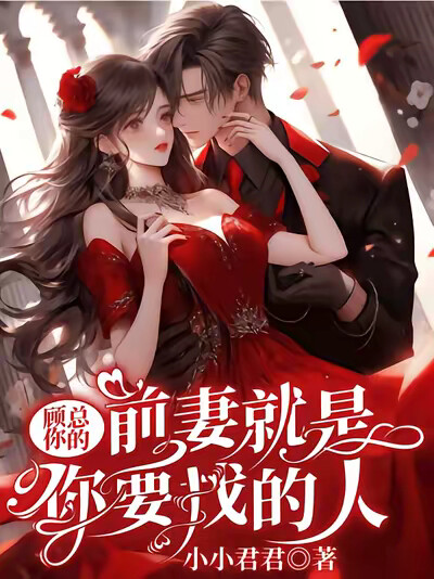 顾总，你的前妻就是你要找的人