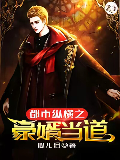 都市纵横之豪婿当道