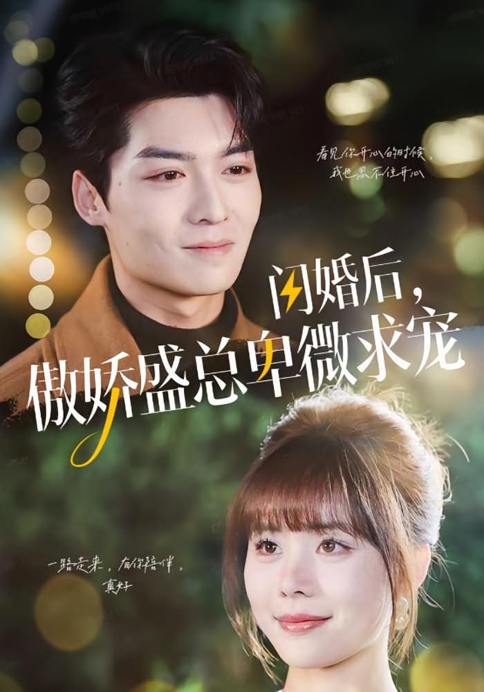 闪婚后,傲娇盛总卑微求宠