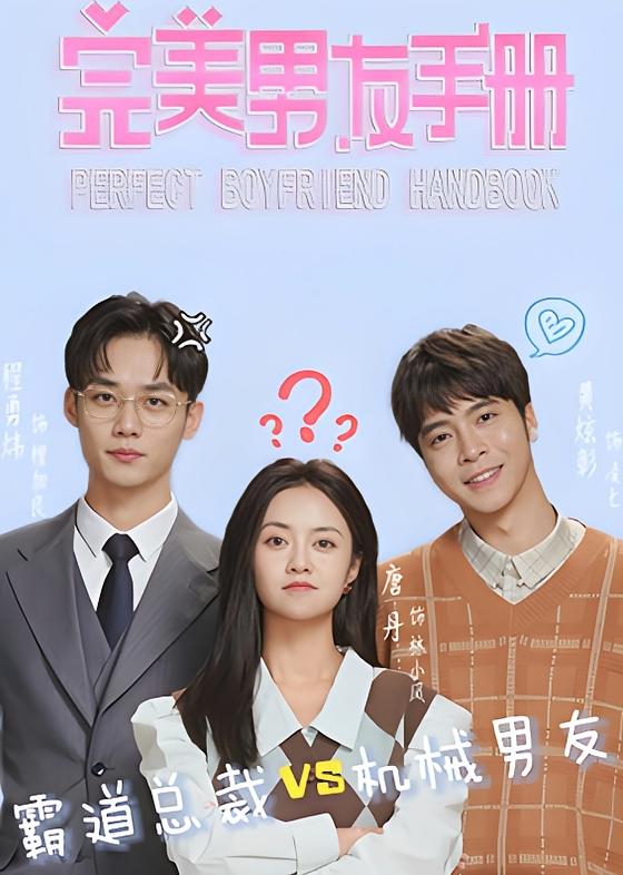 完美男友手册