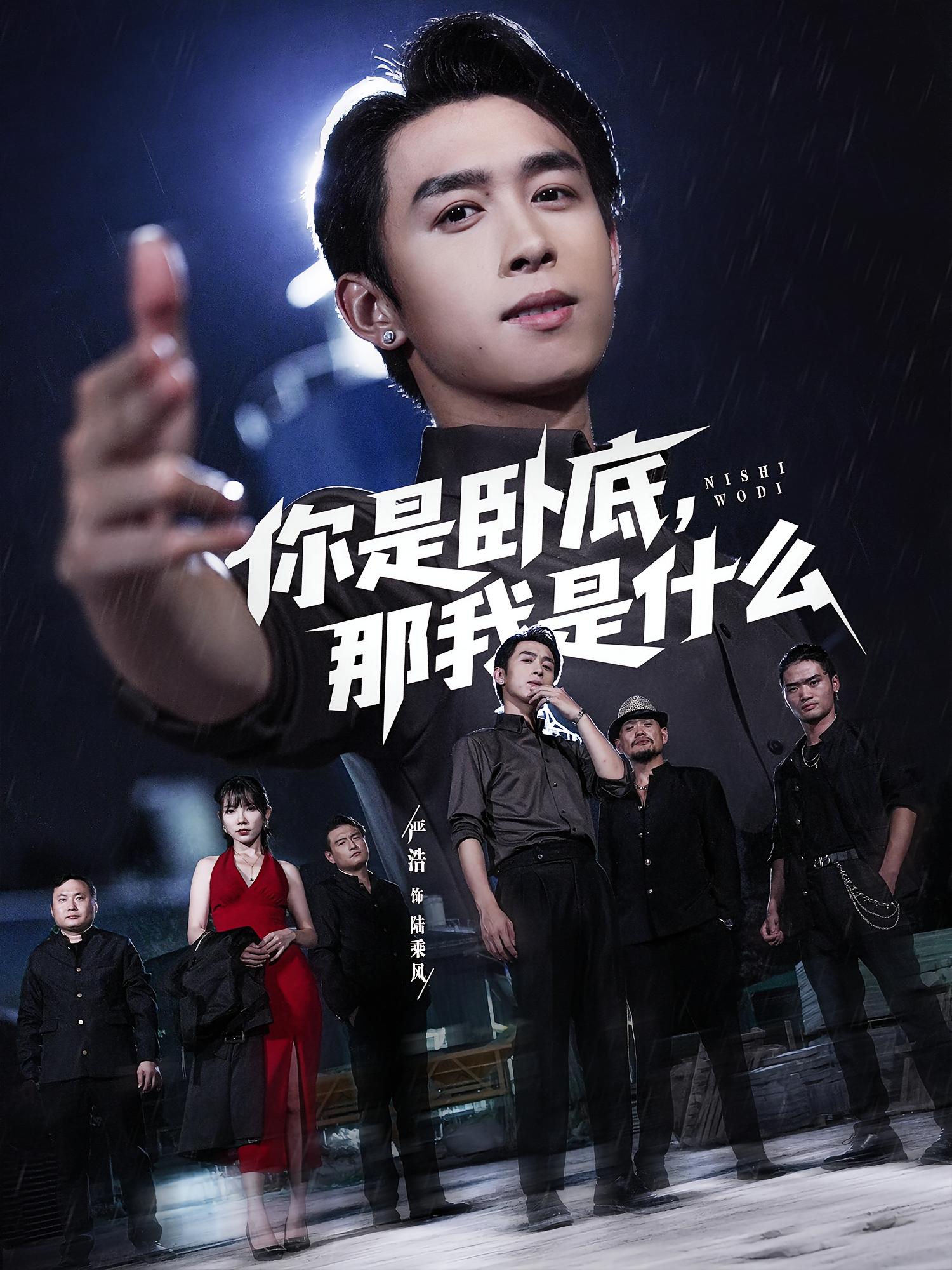 你是卧底,那我是什么