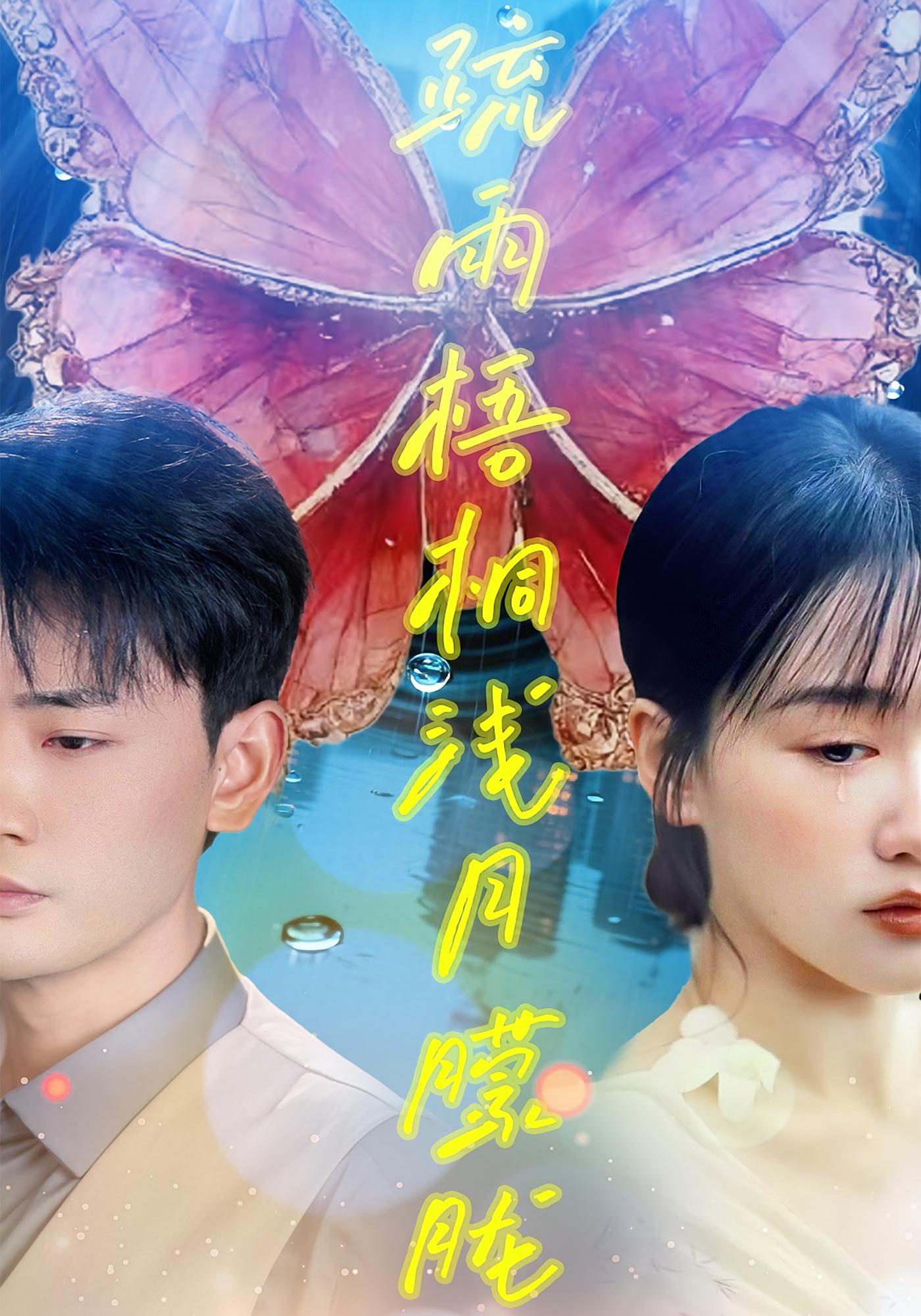 疏雨梧桐浅月朦胧