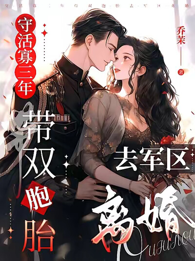 守活寡三年，带双胞胎去军区离婚