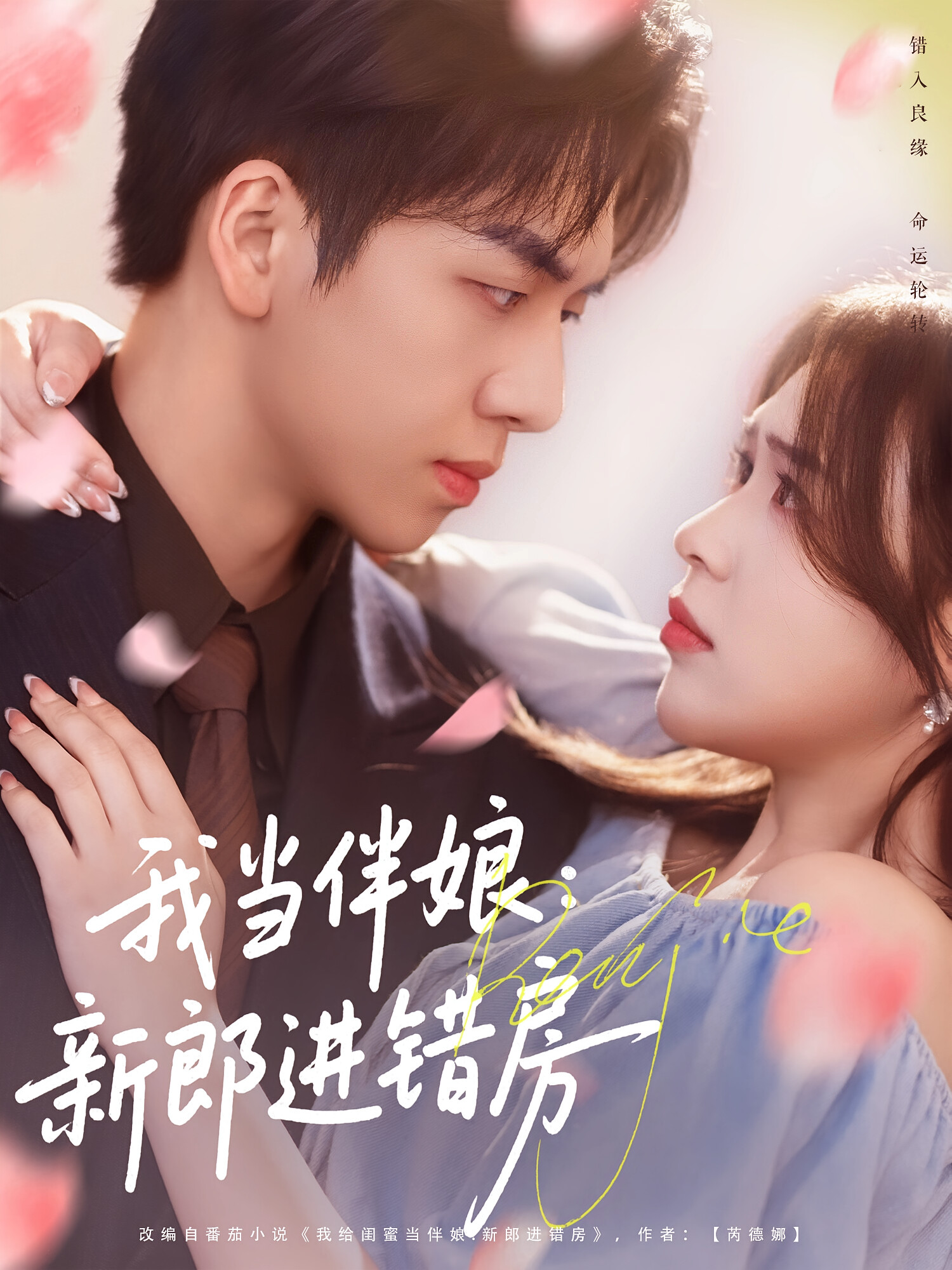 我当伴娘:新郎进错房