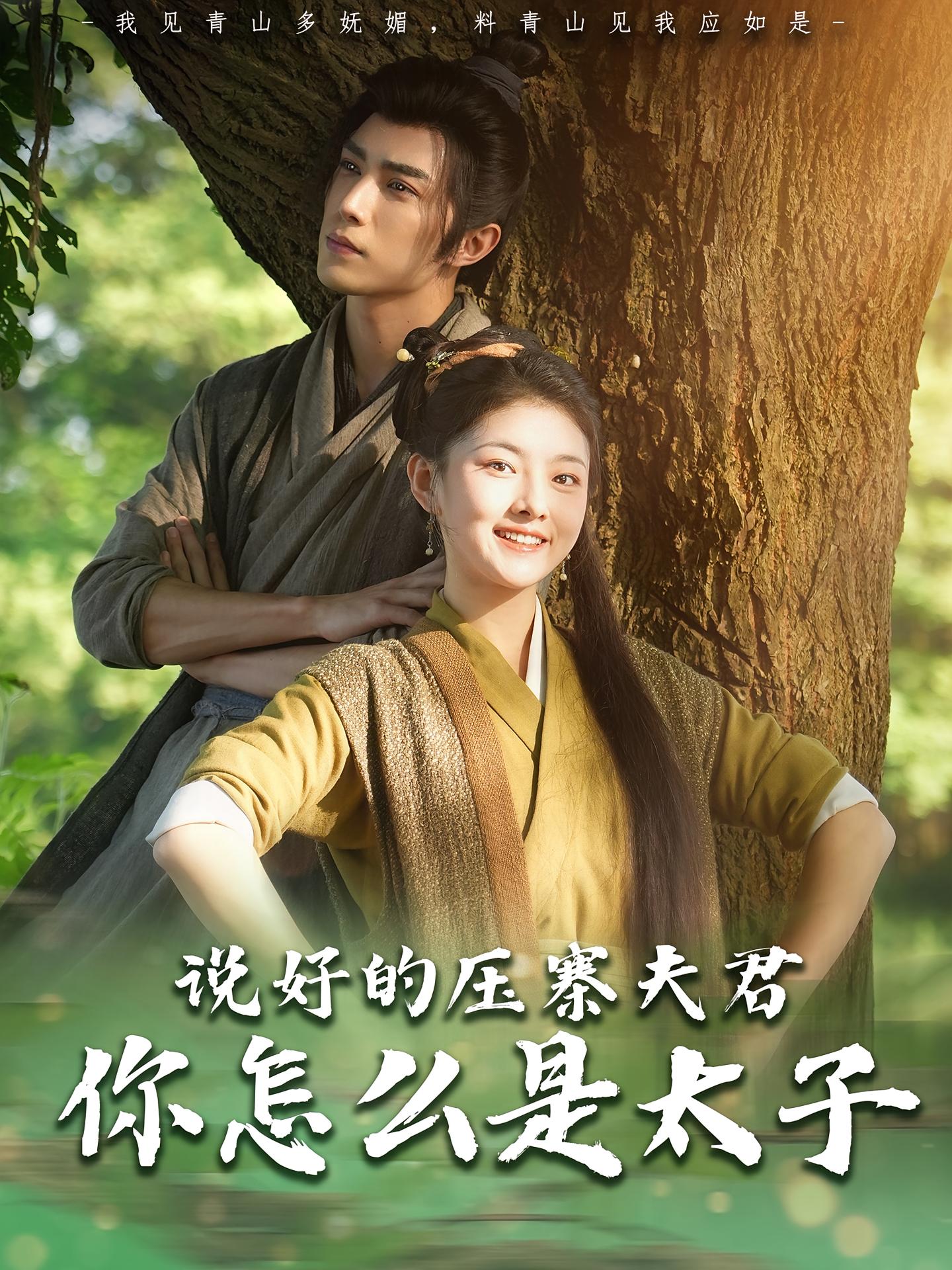 说好的压寨夫君,你怎么是太子