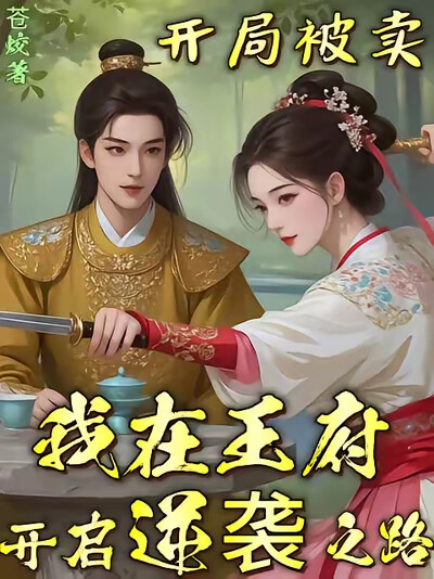 开局被卖，我在王府开启逆袭之路