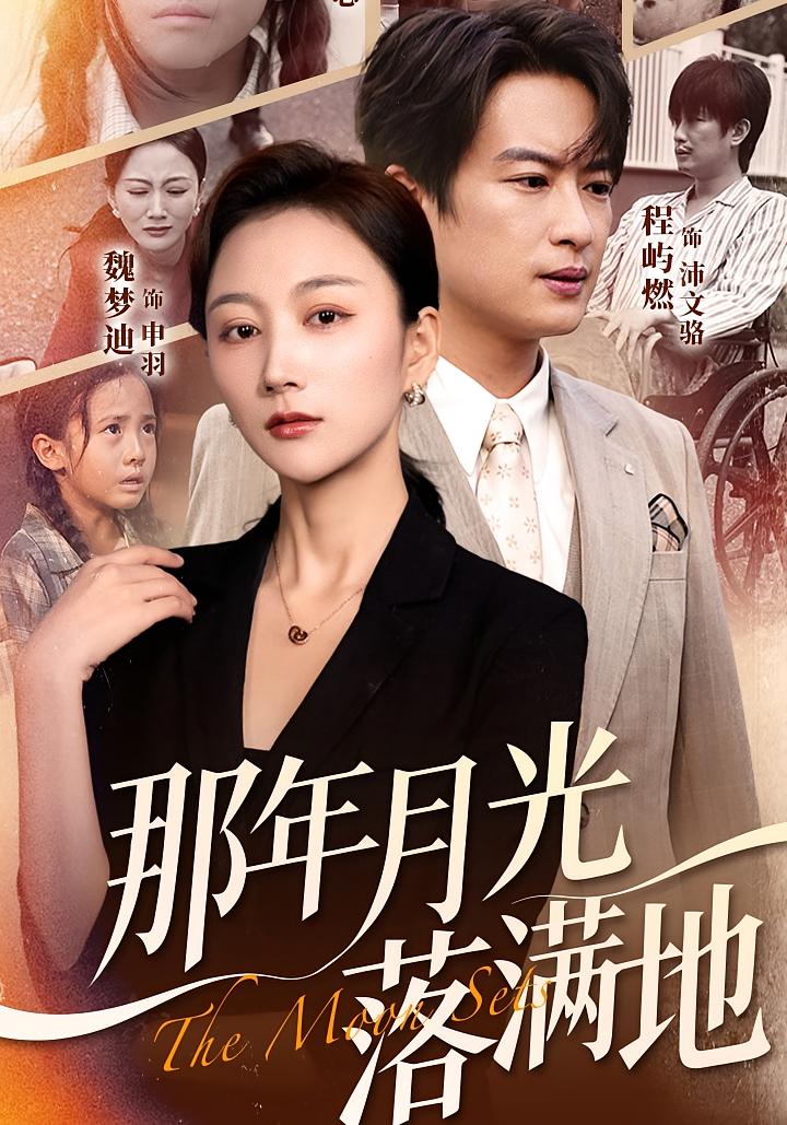 那年月光落满地