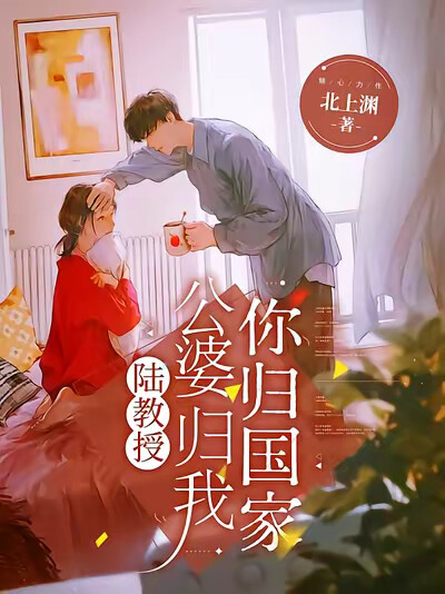 陆教授，公婆归我，你归国家