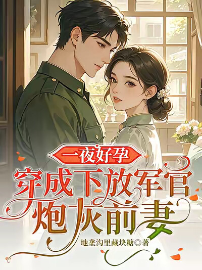 一夜好孕：穿成下放军官炮灰前妻