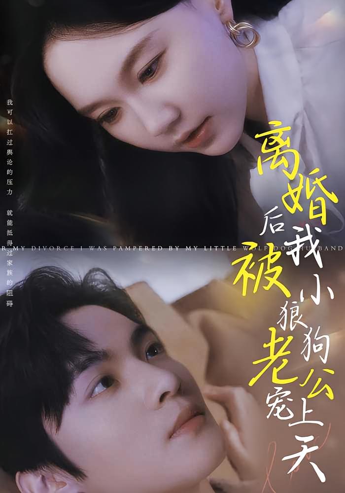离婚后我被小狼狗老公宠上天