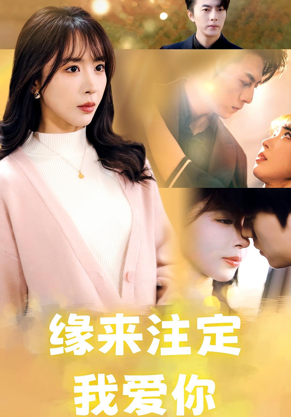 缘来注定我爱你