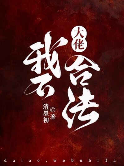 大佬，我不合法！