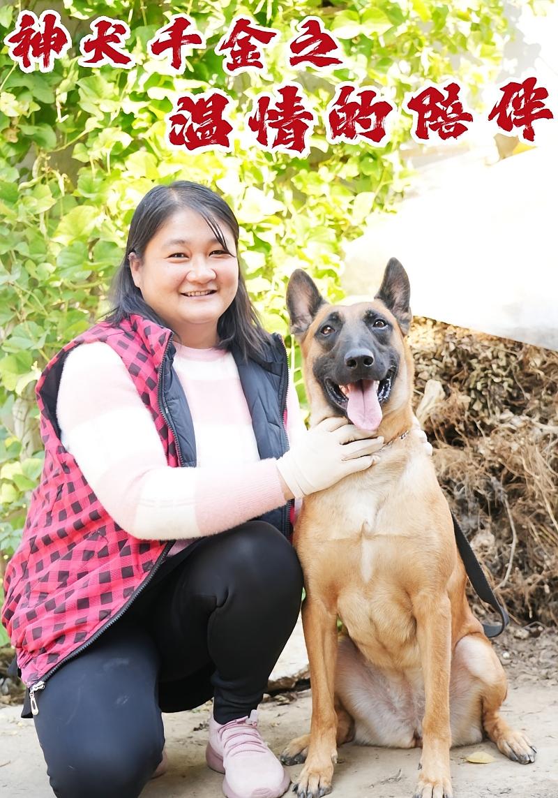 神犬千金之温情的陪伴