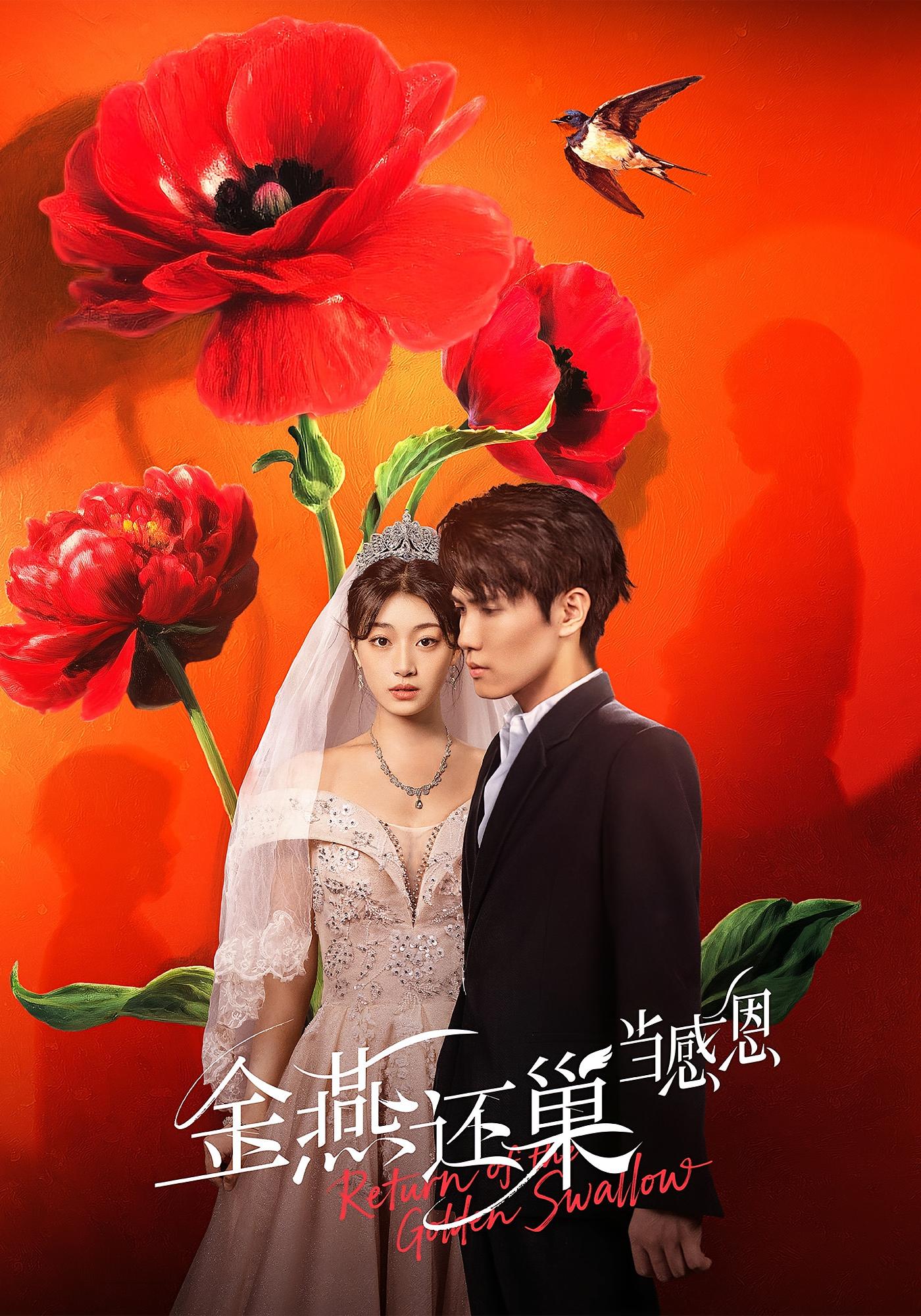 金燕还巢当感恩