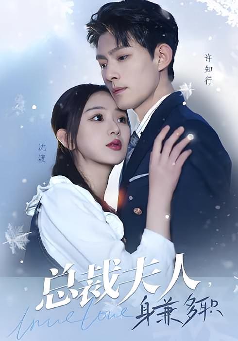 总裁夫人，身兼多职