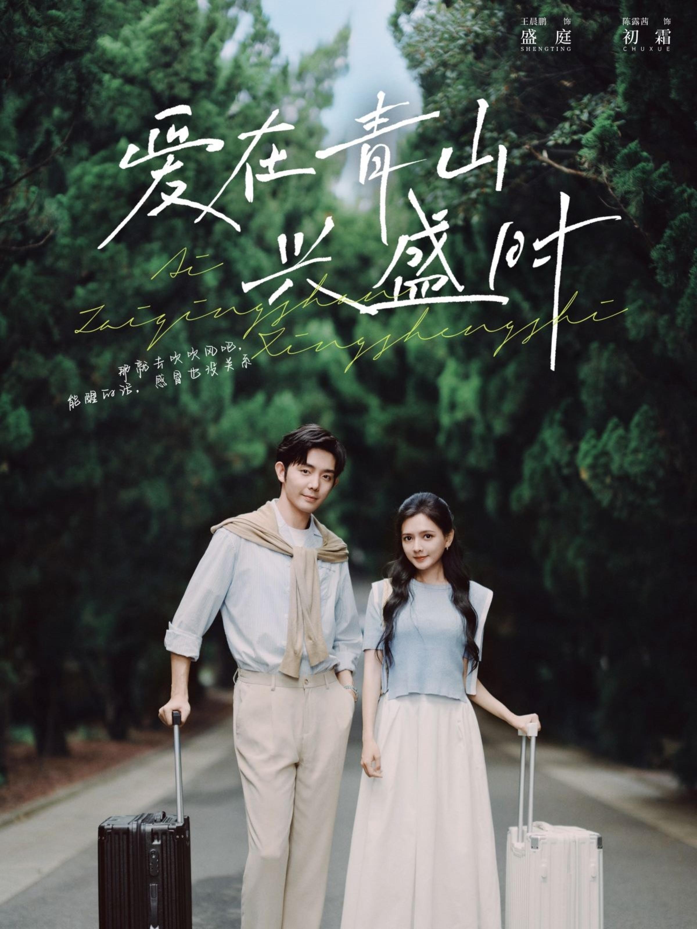 爱在青山兴盛时