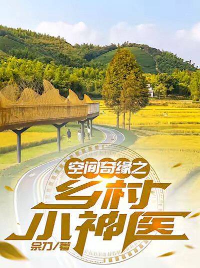空间奇缘之乡村小神医
