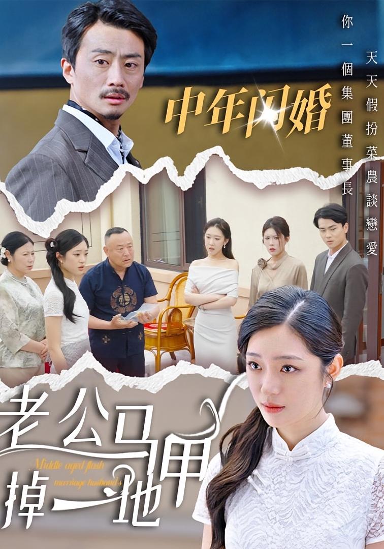 中年闪婚，老公马甲掉一地