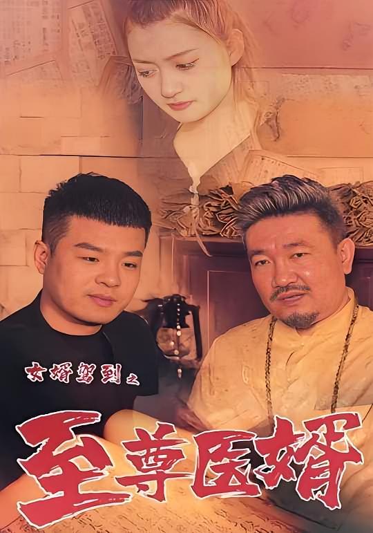 女婿驾到之至尊医婿