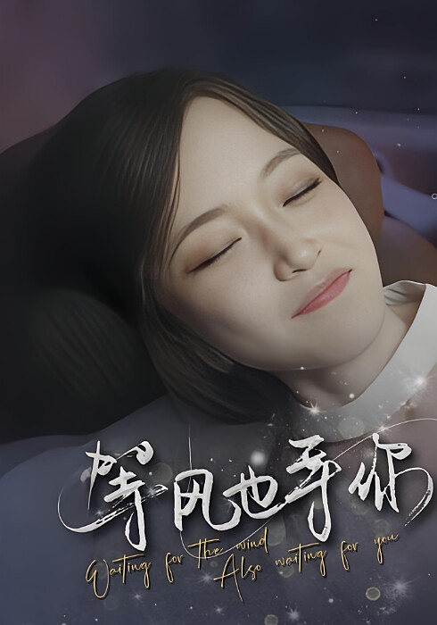 等风也等你