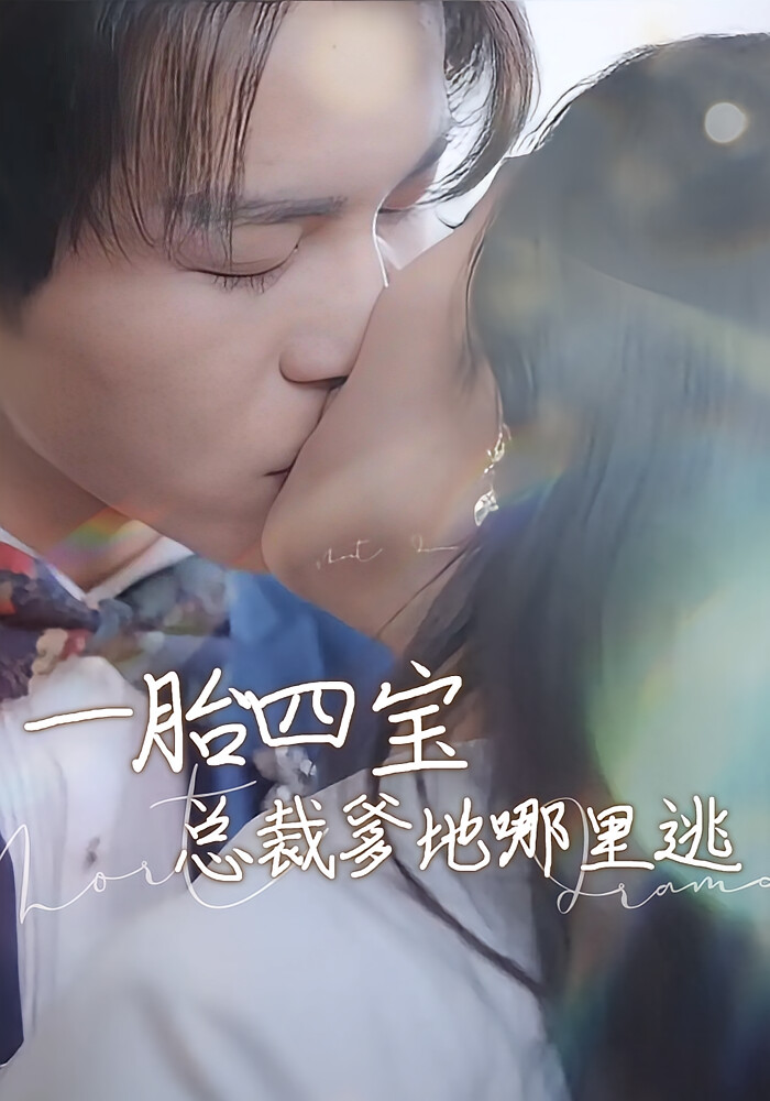 一胎四宝：总裁爹地哪里逃