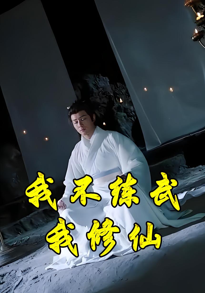 我不练武我修仙