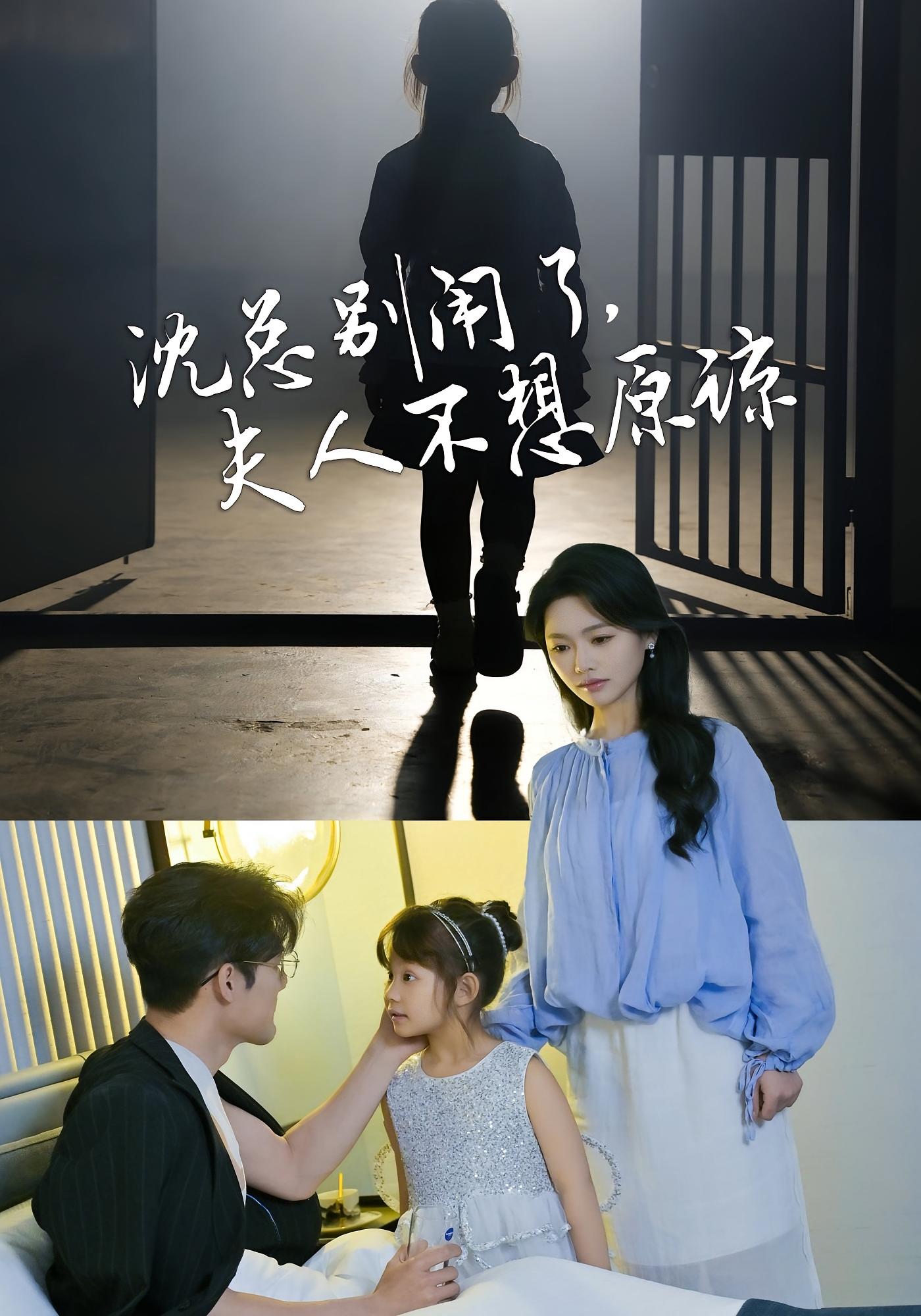 沈总别闹了，夫人不想原谅