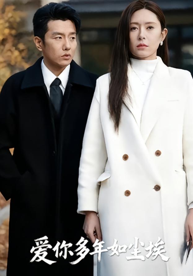 爱你多年如尘埃