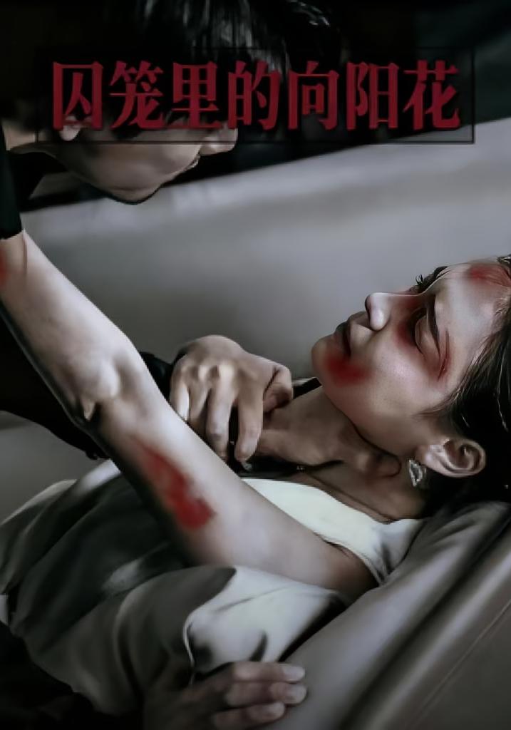 囚笼里的向阳花