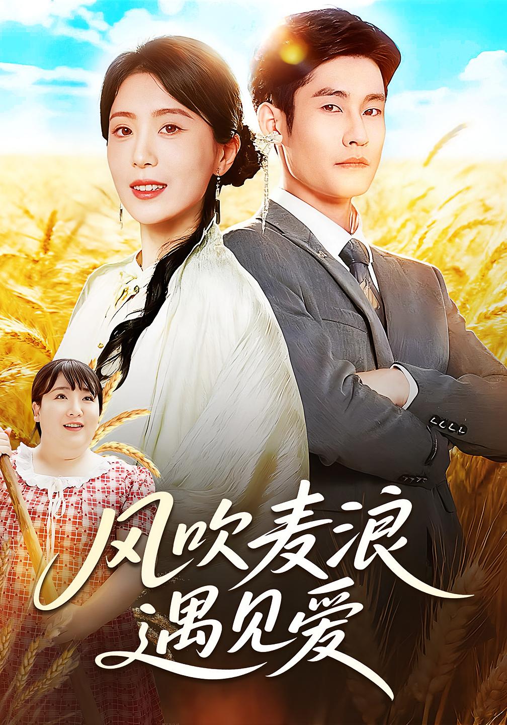 风吹麦浪遇见爱