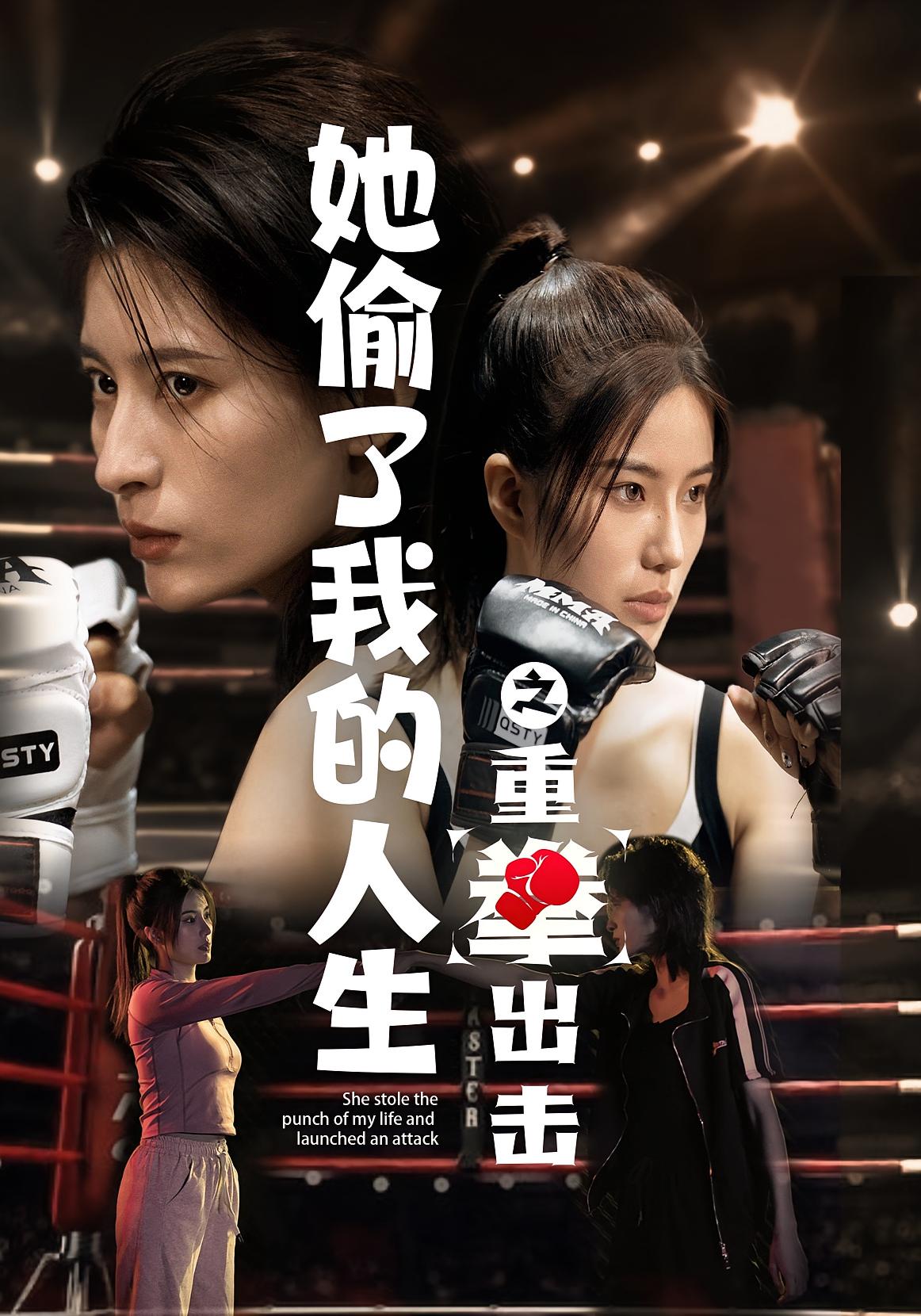 她偷了我的人生之重拳出击