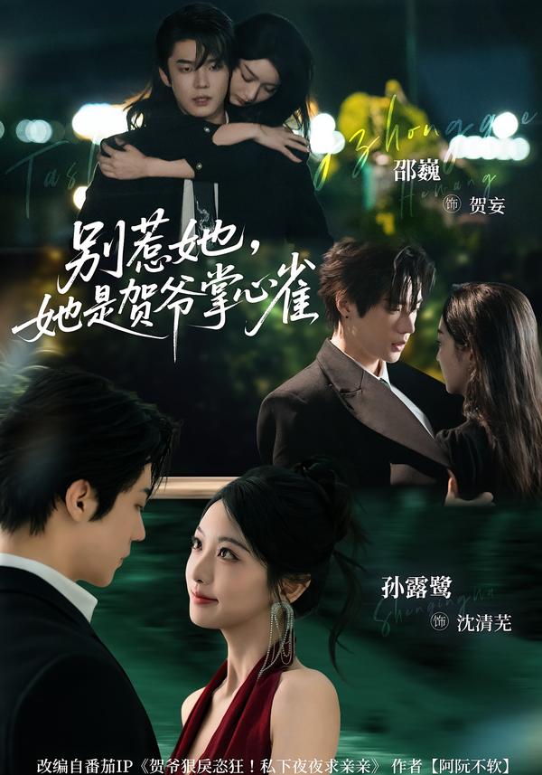 别惹她，她是贺爷掌心雀