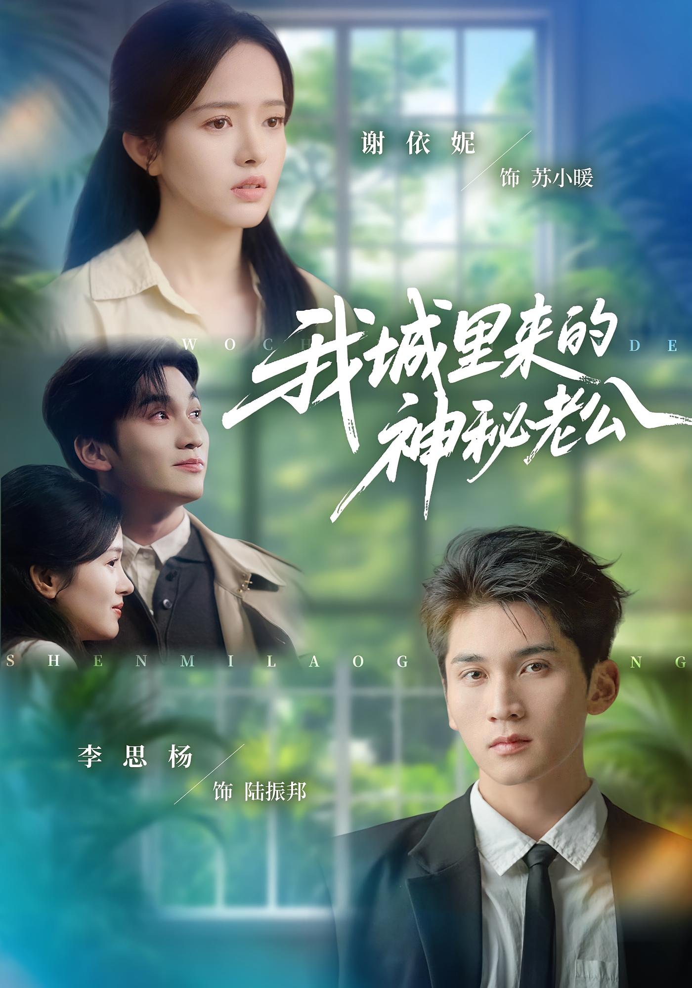 我城里来的神秘老公